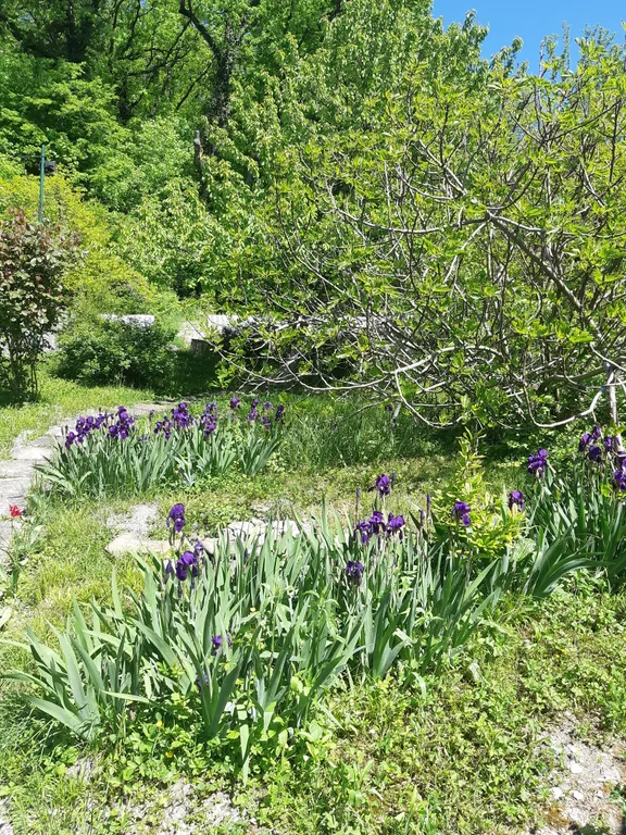 Коттедж Коттедж Эко -дача на море — Пляхо