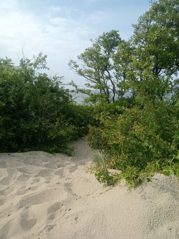 Квартира у моря