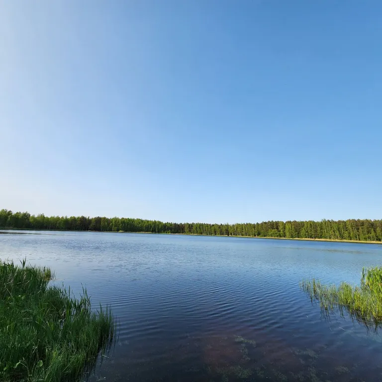 2 комнатная квартира в Решетниково