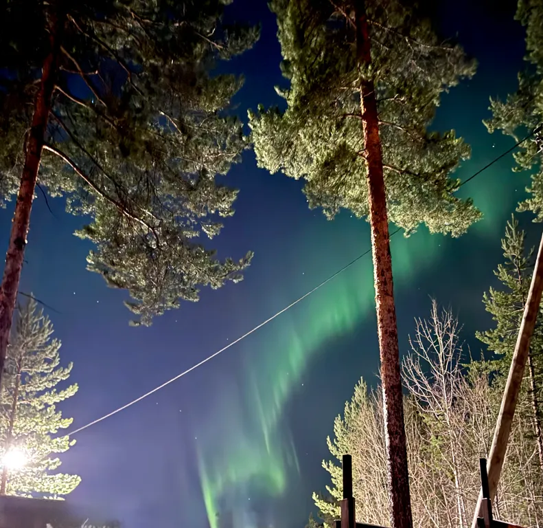 Уютный гостевой дом в лесном просторе