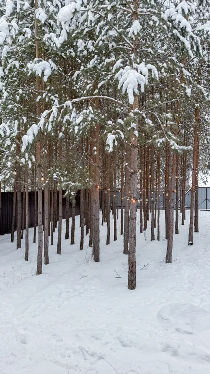 Дом с чаном и баней