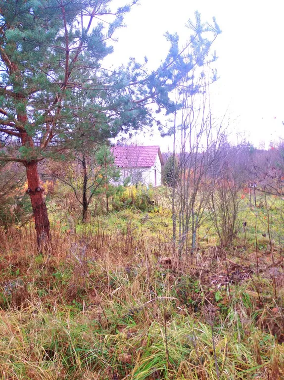 Уютный гостевой дом в поместье Большое небо в экопоселении