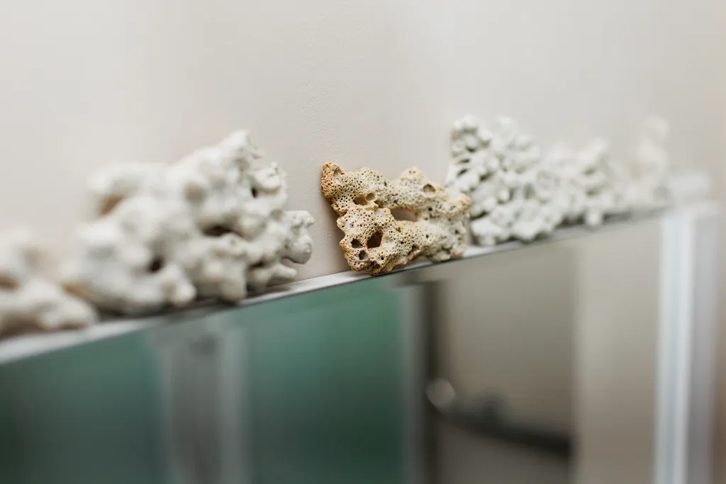 Двухуровневая мансарда у цирка