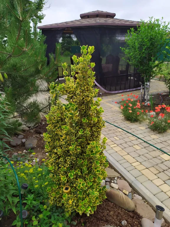 Уютный семейный дом