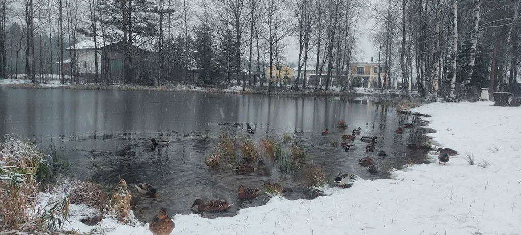 Тихое место