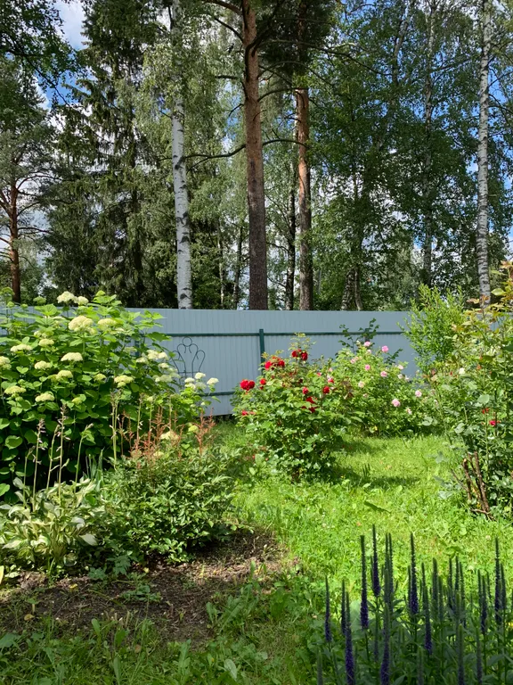 Дача Ботаника