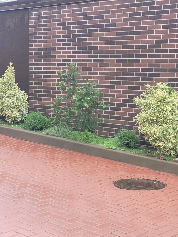 Великолепный вид на море и горы