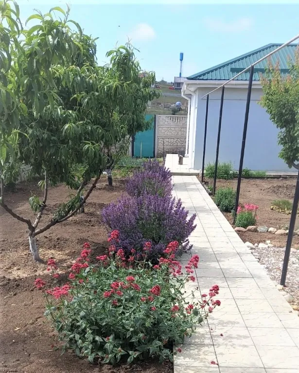 Тихое место для отдыха