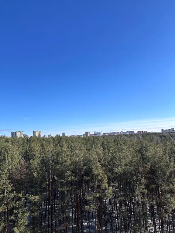 Апартаменты на Парковом