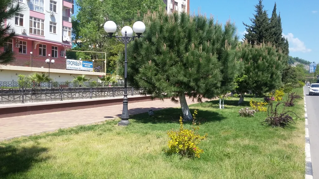 Квартира Апартаменты у моря — Сочи