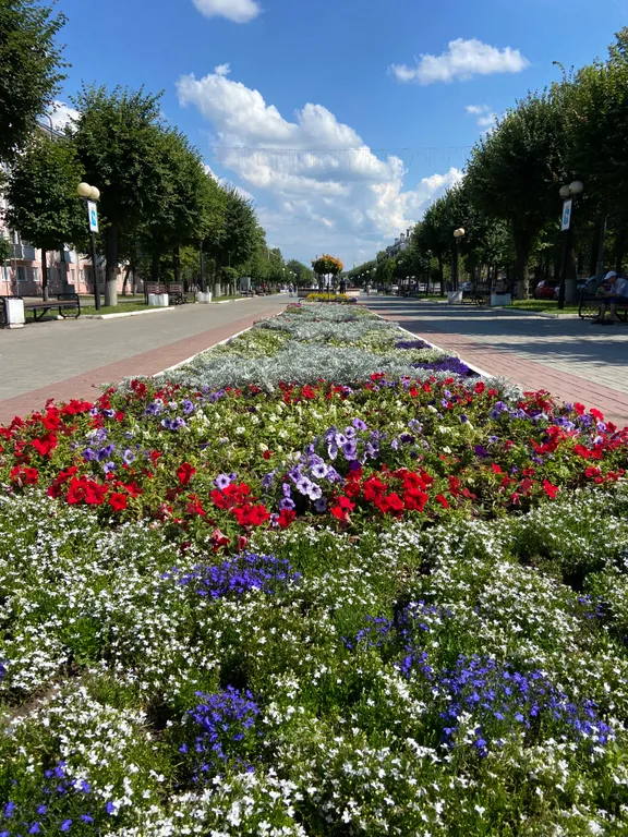 Классика в центре