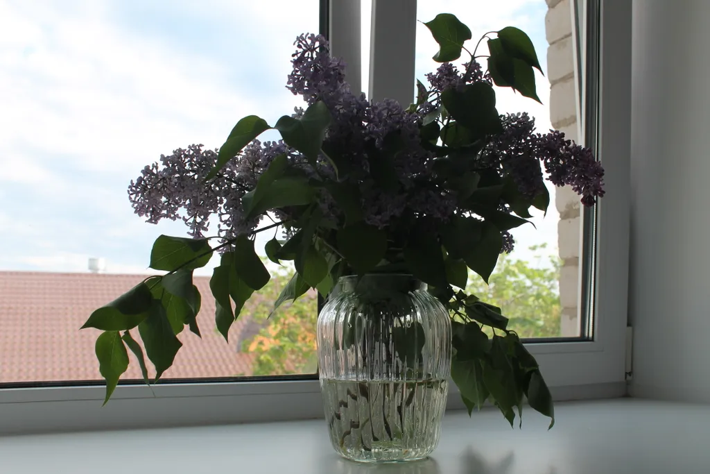 Уютная квартира для Вашего комфорта