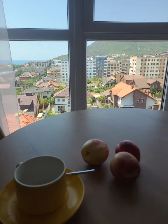 Великолепный вид на море и горы