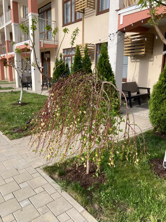 Уютная и стильная студия в горах между озером и морем