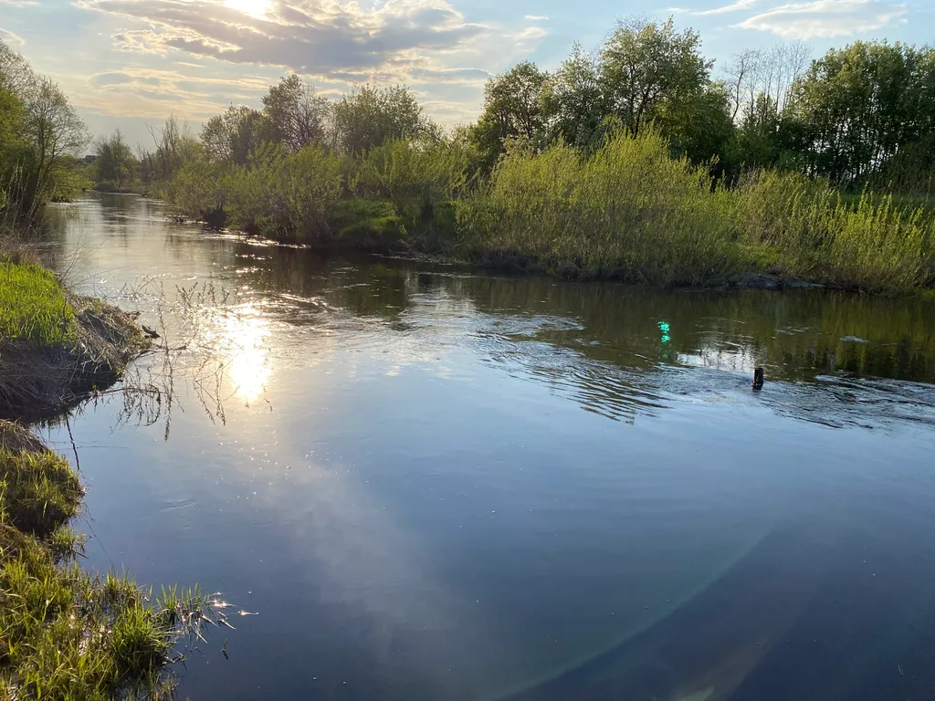 Дом у речки для семейного отдыха