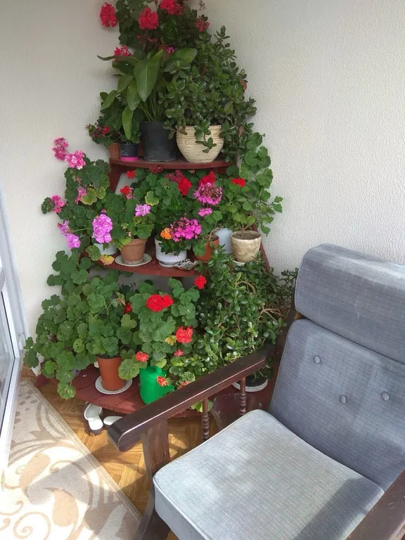 Домик в Белорусской Швейцарии