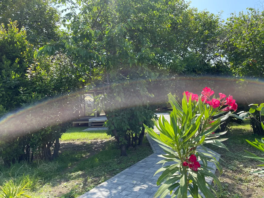 Коттедж Коттедж Южный сад — Головинка