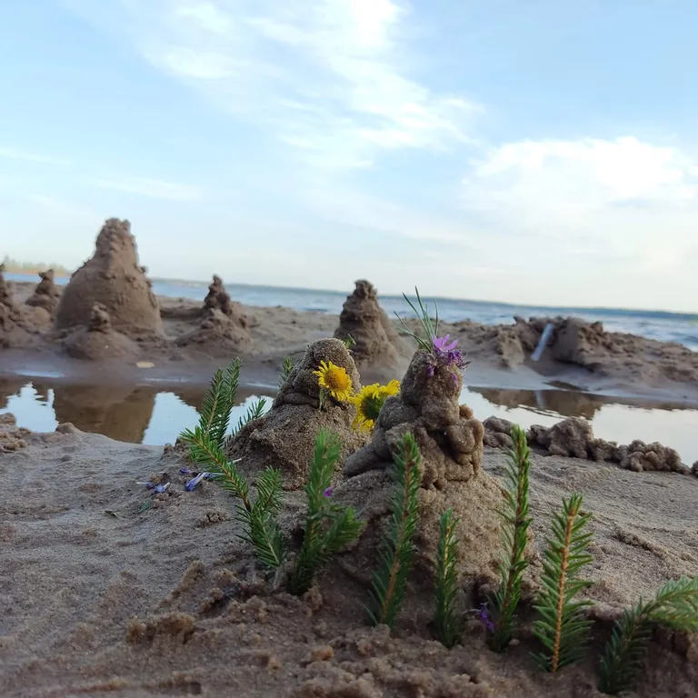 Коттедж Дизайнерский коттедж на берегу озера Волго на Селигере — Турбаза Чайка