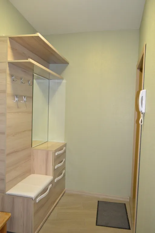 Просторная квартира в центре города с видом на парк