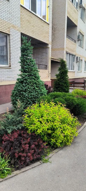 Студия в самом центре города рядом с парком Горького и пляжем