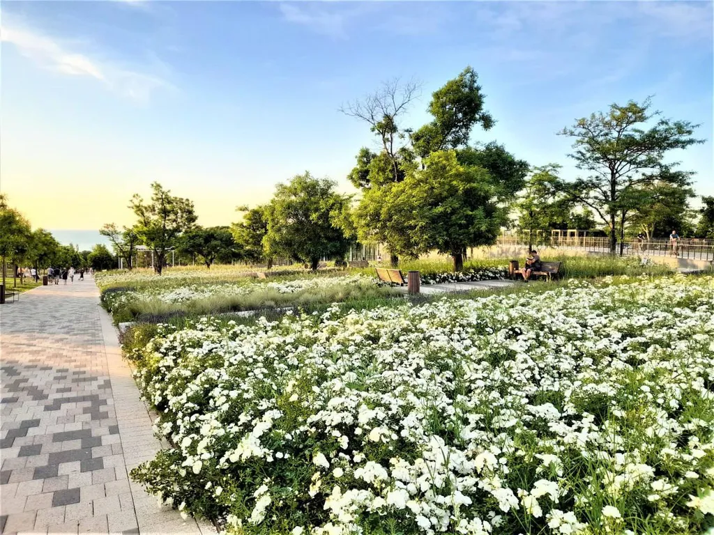 Квартира Комортабельные однокомнатные апартаменты "Олива" — Севастополь