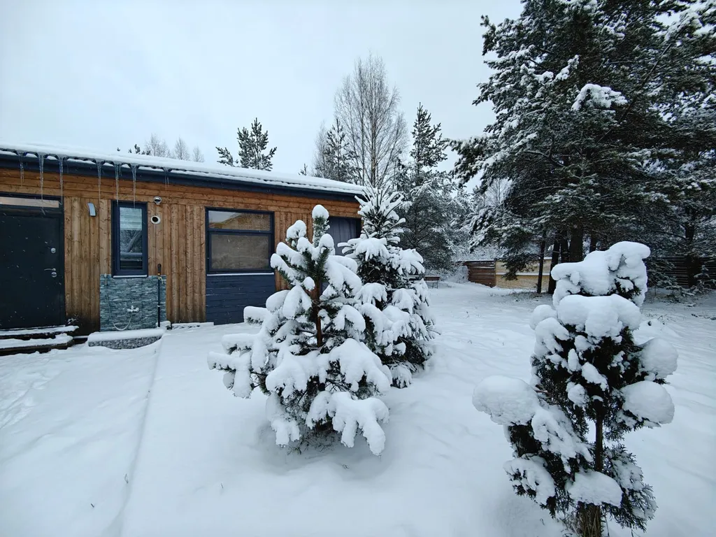 Уютный барнхаус с видом на лес