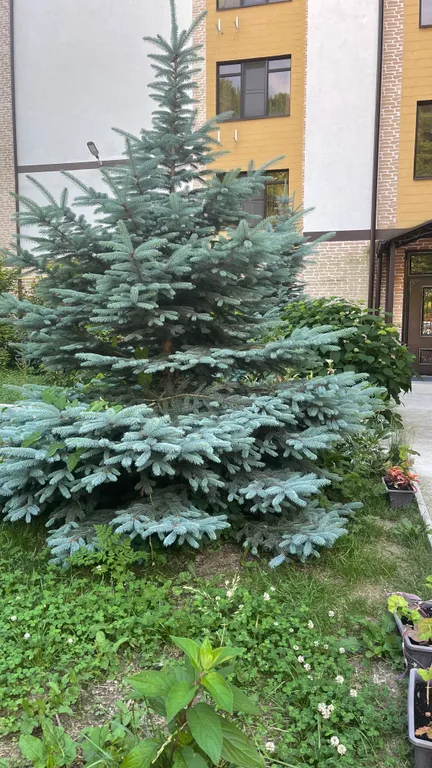 Шикарный вид на озеро и горы