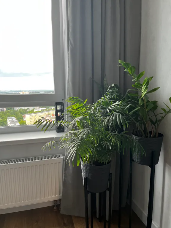 Уютная видовая квартира