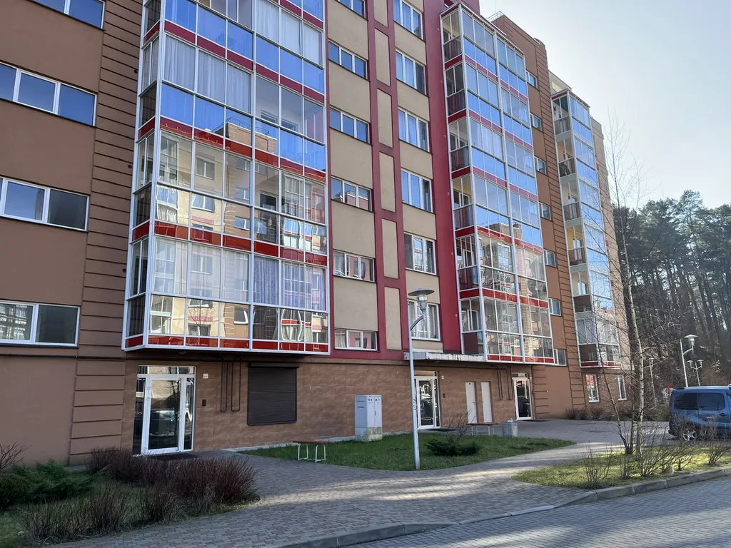 Студия у озера Тихое