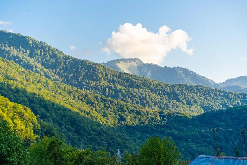 Уютная квартира с видом на горы