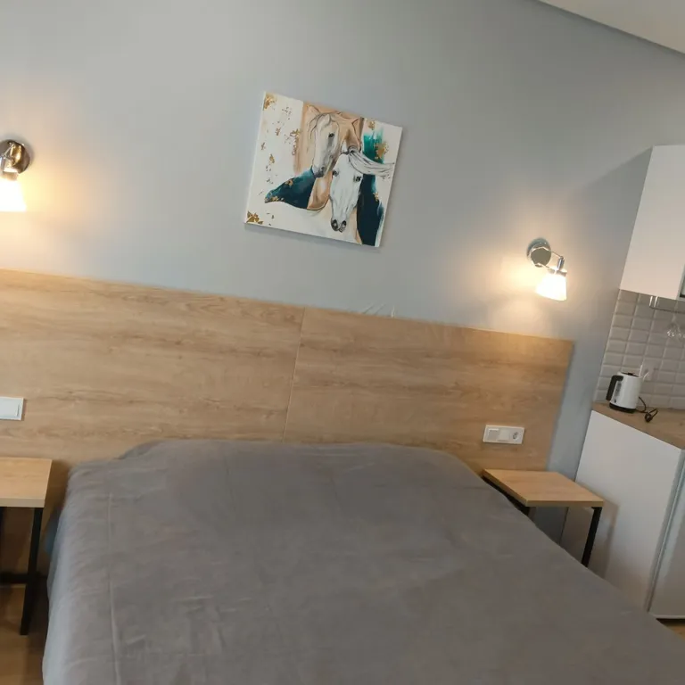 Квартира Апартаменты Парус Студия 8 — Прасковеевка