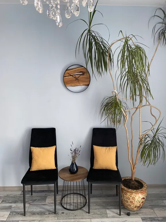 Уютная, новая студия в стиле прованс в центре Бреста