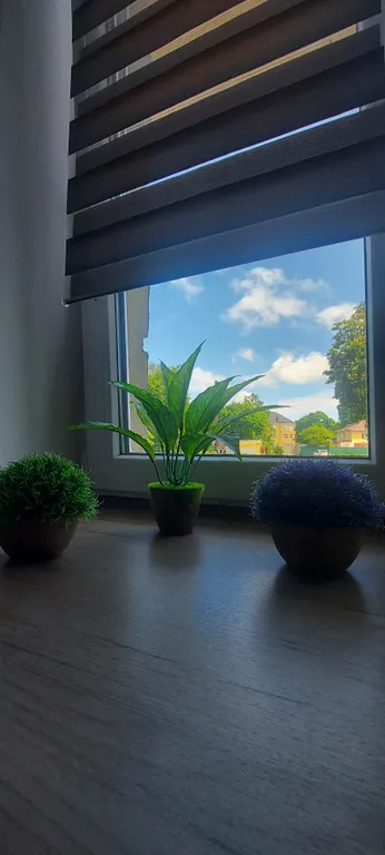 Квартира Стильные апартаменты на первой линии Балтийского моря — Пионерский