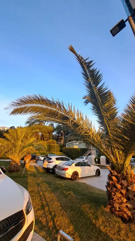 Новая студия в центре Сочи