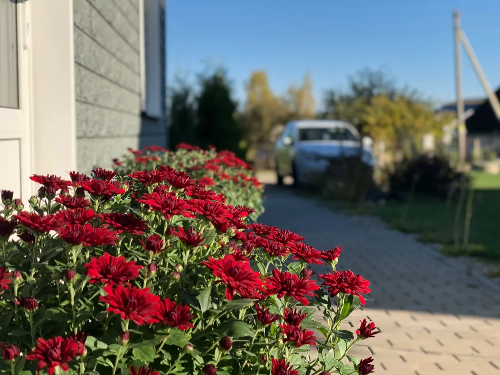 Дом с баней и бассейном в 15 минутах от Минска