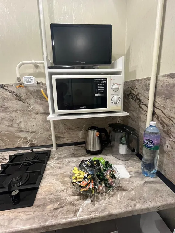 Уютная квартира в центре города с новым ремонтом