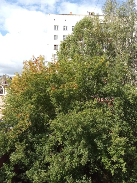 Уютный стандарт в сердце Златоуста