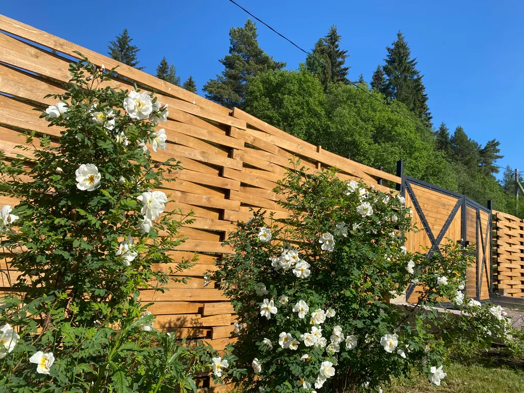 Берлога люкс, коттедж с банным чаном для отдыха с видом на лес и скалы