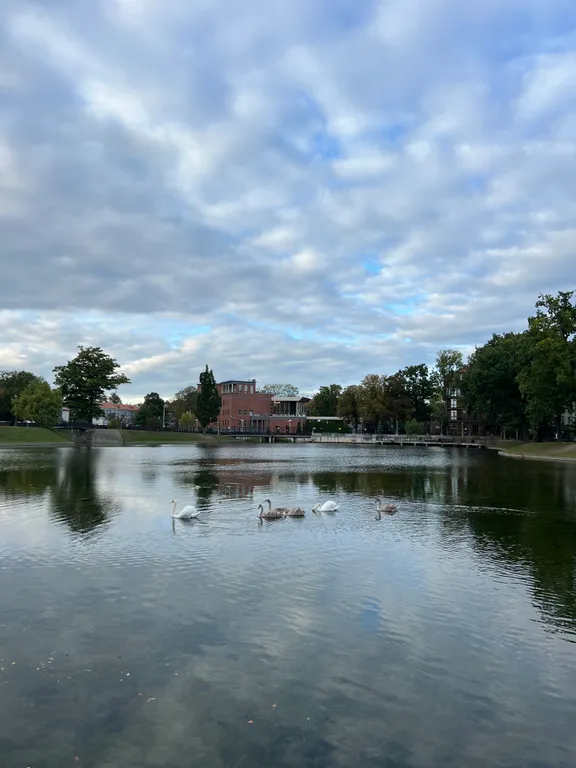 Квартира Уютная двухкомнатная квартира в историческом районе — Калининград