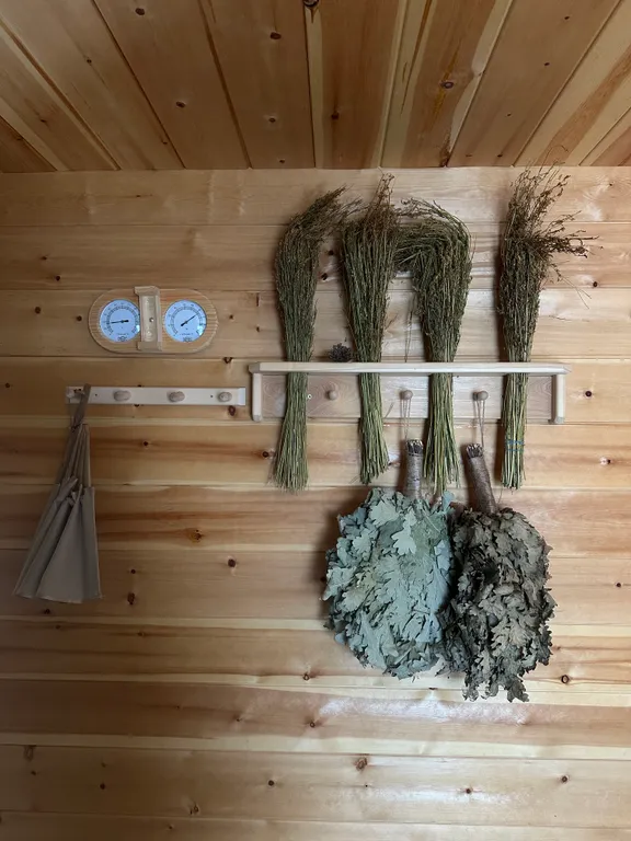 Купольный дом с баней и купелью в лесу в Москве