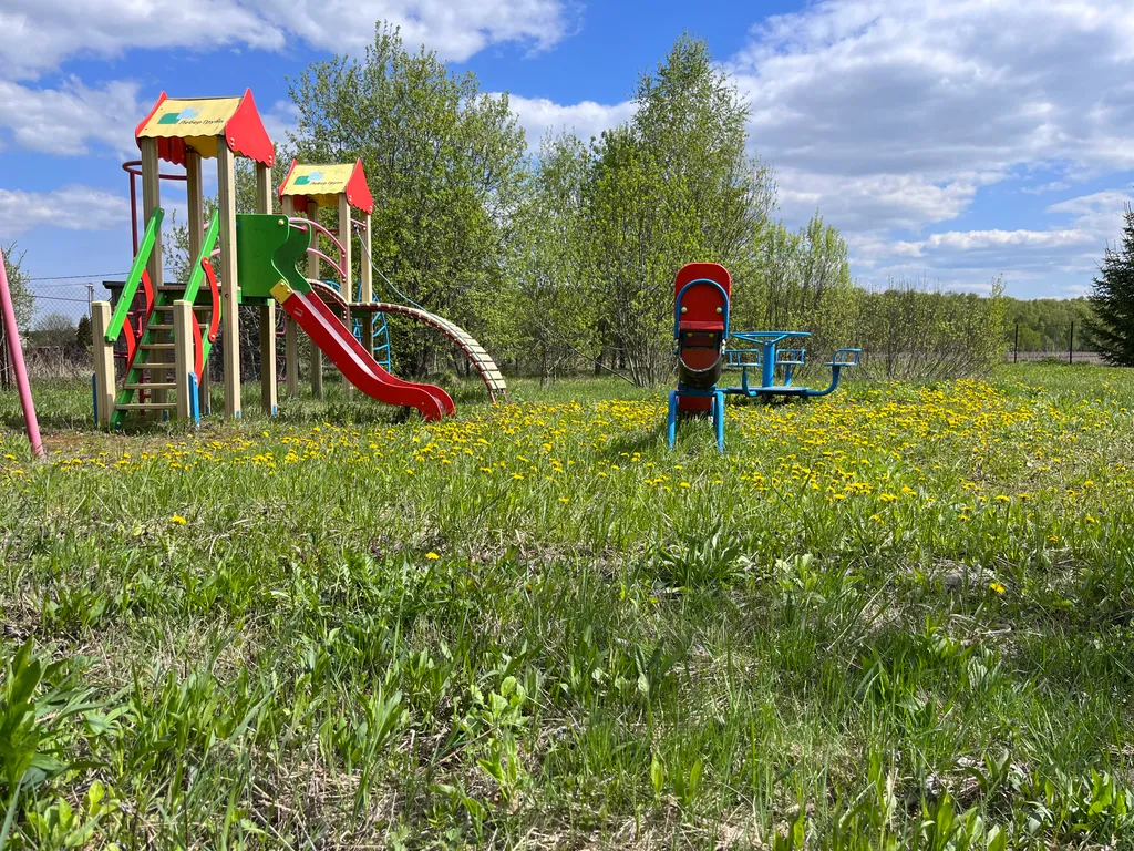 Petrushkа Просторы