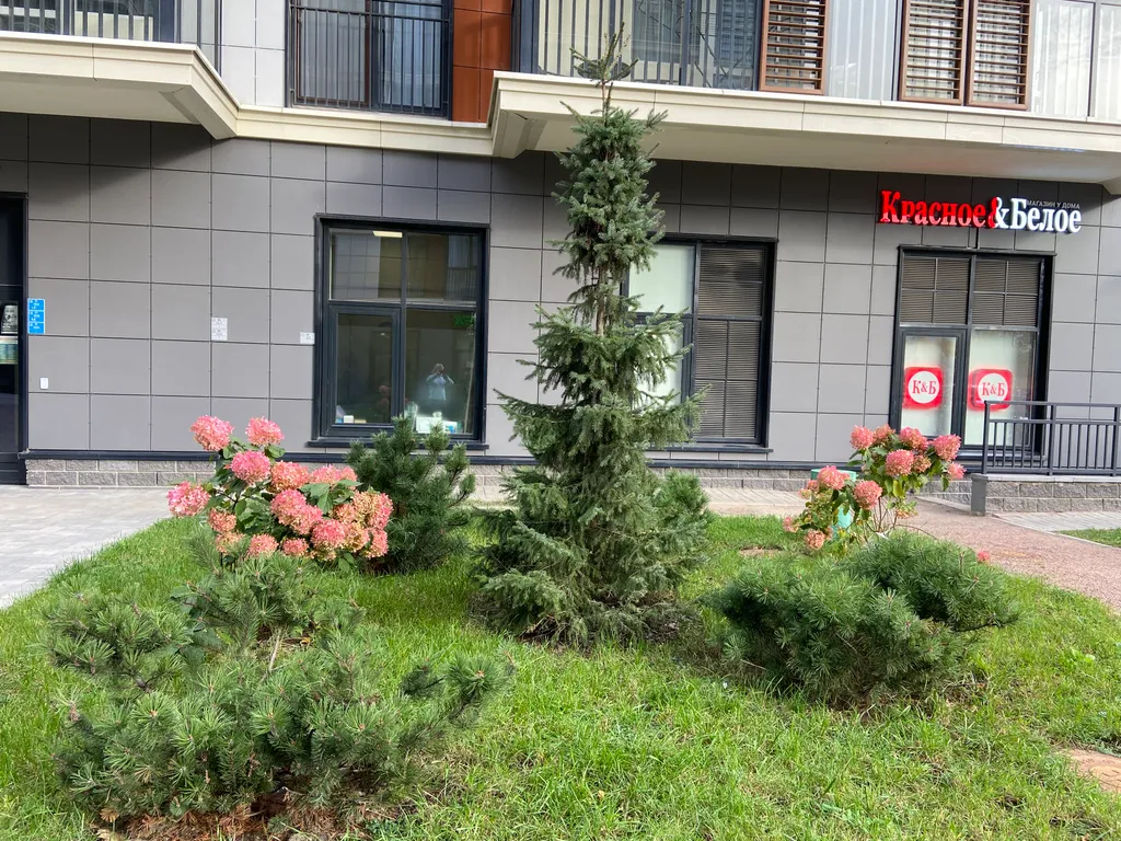 Уютная квартира-студия в центре города