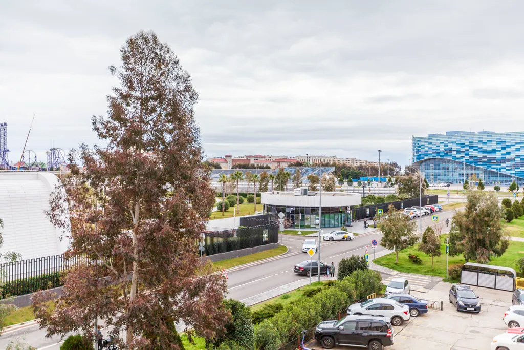 Квартира Квартира у Олимпийского парка — Сириус