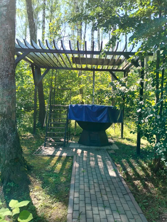 Уютный домик в лесу у пруда