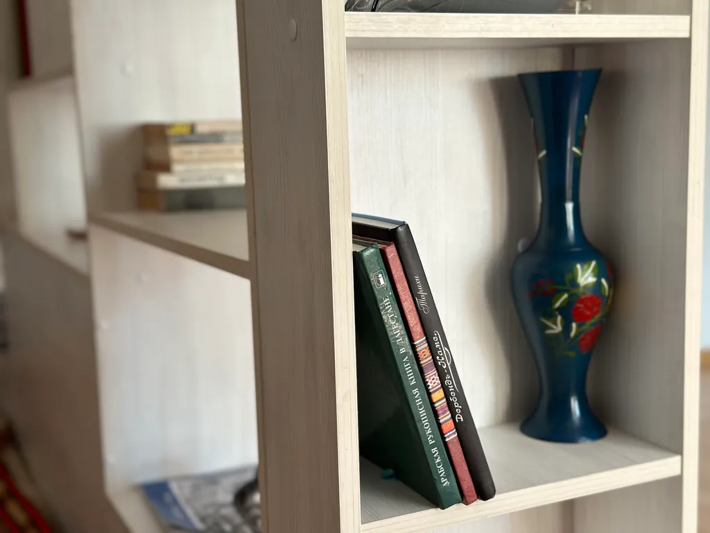 Студия с видом на Тарки-Тау