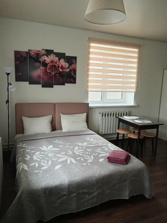 Квартира Уютная студия в историческом центре города — аренда посуточно в Дмитров