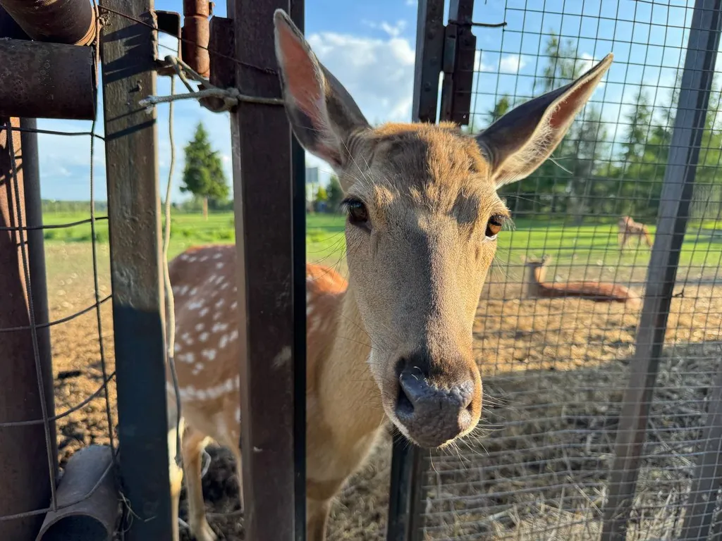 Современный барн с панорамными видами вблизи Сорачан