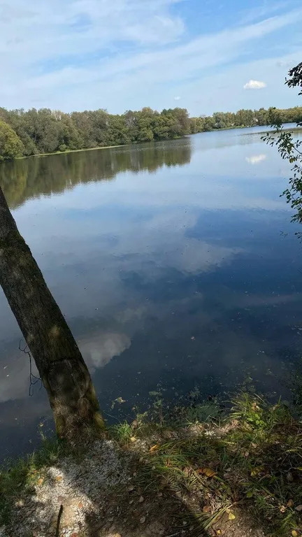 Новый стильный дом с камином