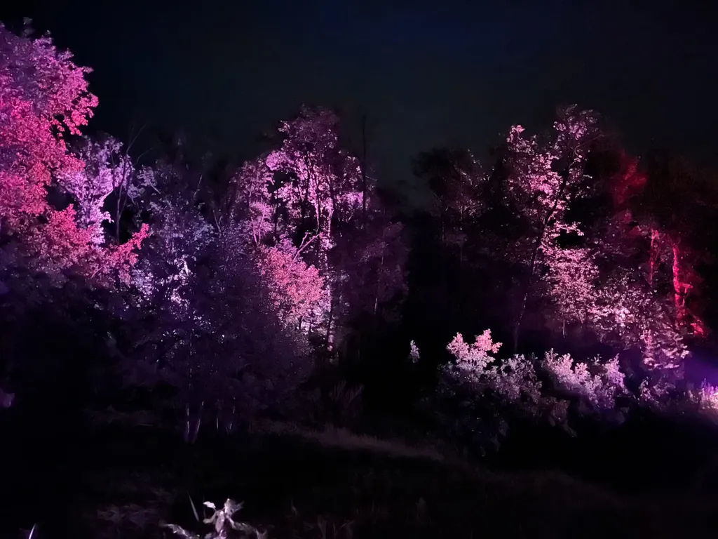 Дом (отдых по Барски в River 2)