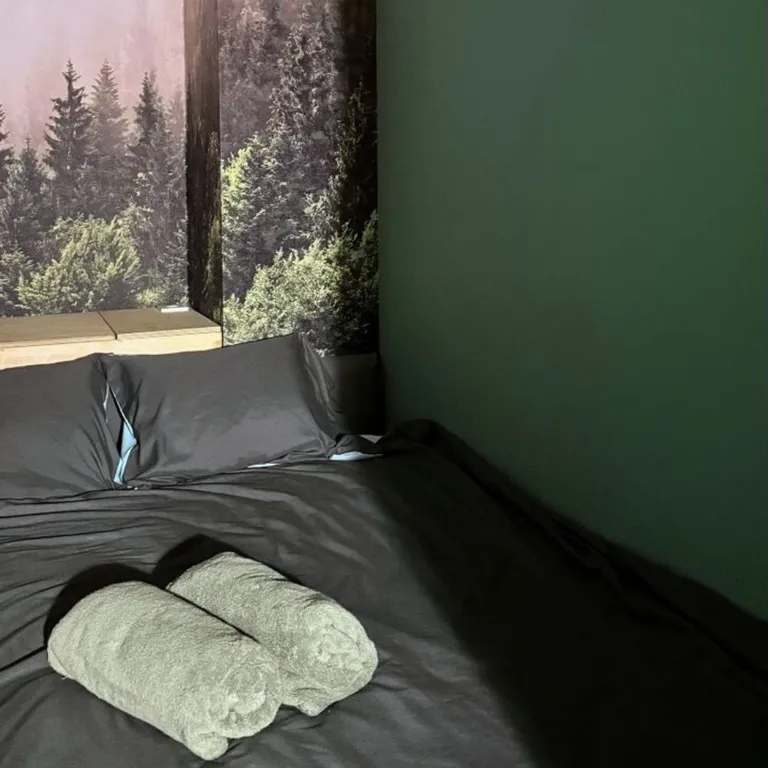 Студия Скандинавский лес с видом на Шуваловский парк